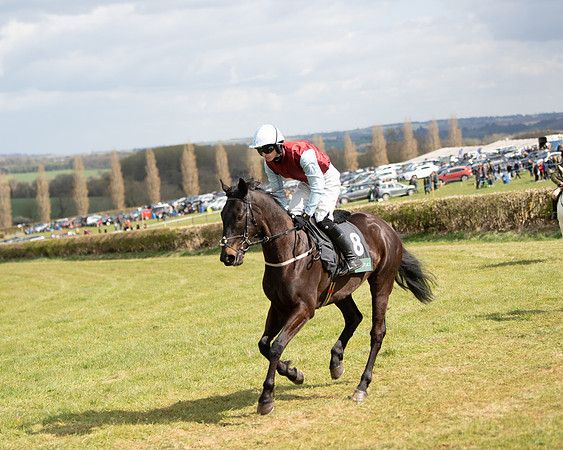 Race 2 - Young Horse Maiden (16 of 104)