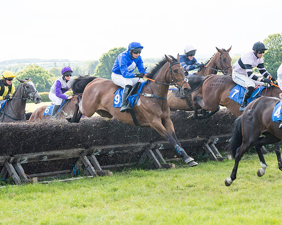 Race 6 - Open Maiden (103 of 227)