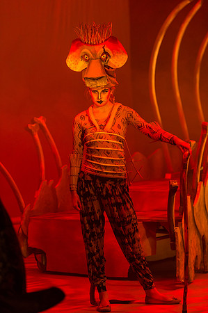 Lion King (167 of 484).jpg