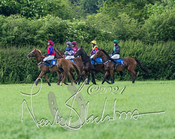 Race 3 - Conditions (141 of 367)