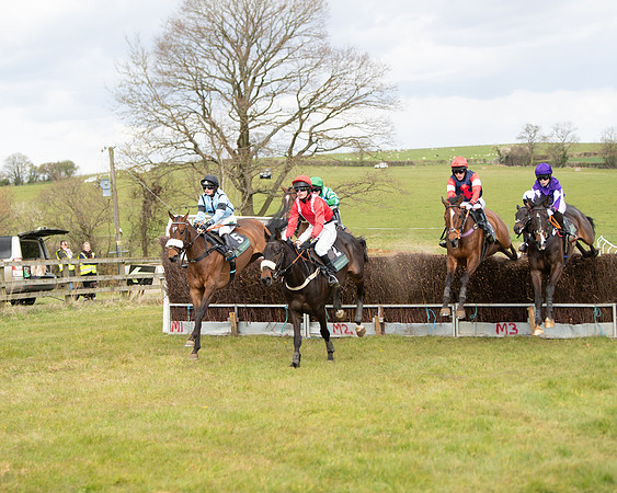 Race 2 - Young Horse Maiden (43 of 104)