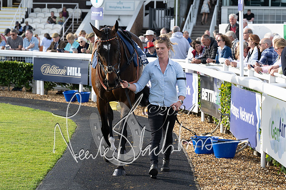 Race 3 - The pointtopoint.co.uk champion novices’ Hunter Chase (53 of 140)