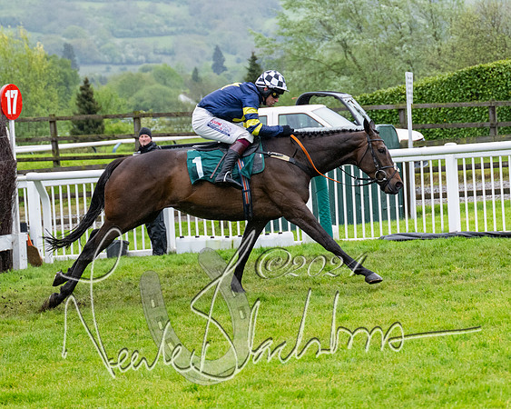 Race 5 - Mares Open  (58 of 129)