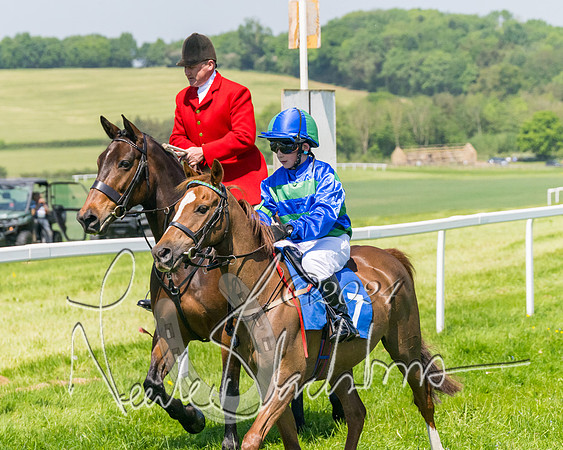 Pony Races  (1 of 141)