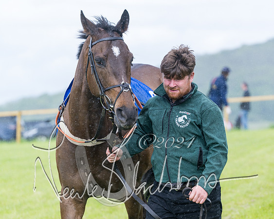 Race 1 - Owner-Trainer Conditions  (33 of 392)