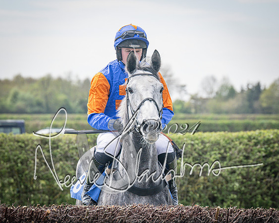 Race 2 - The Elliott of London maiden race (31 of 137)