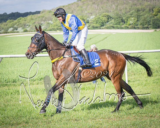 Race 6 - Thorn Plant Hire Maiden Race (26 of 129)