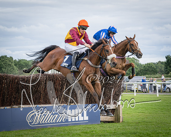 Race 1 - Pointing Pointers Restricted Final (50 of 79)