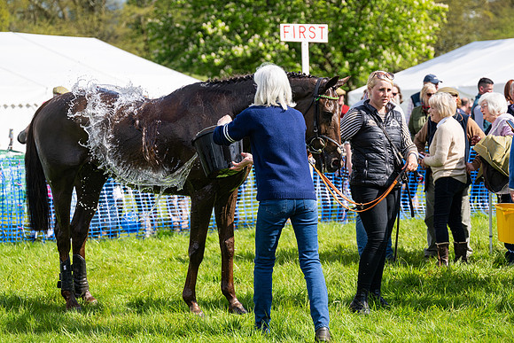 Race 4 -  2M4F Conditions  (101 of 102)