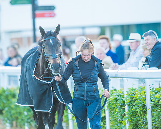 Race 7 - ITM Bumper (12 of 72)