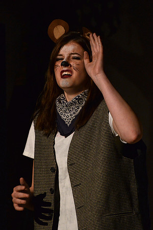 Wind in the Willows - Act-2  144