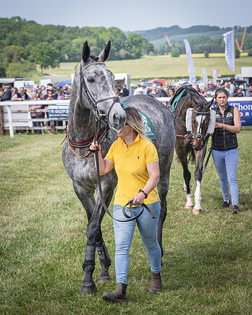 Race 2 - The Maiden (24 of 126)