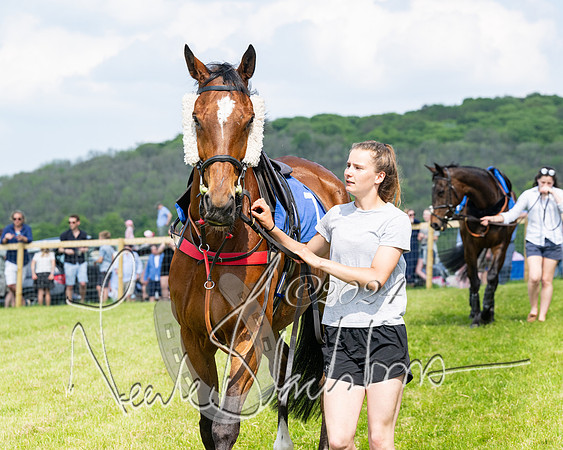 Race 3 - Ladies Open  (14 of 133)