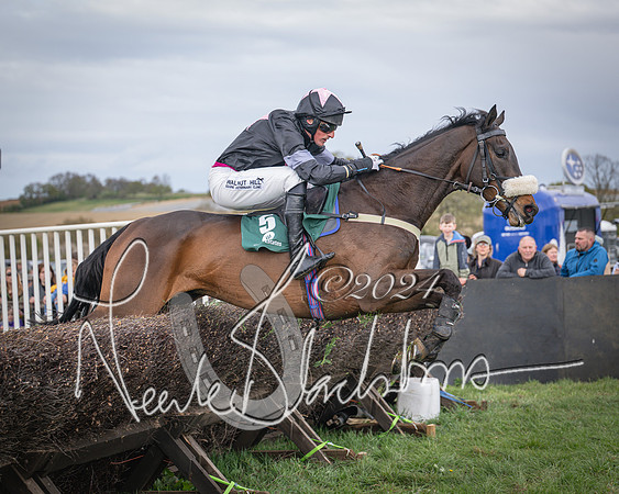 Race 3 - 5 years old and Over Maiden Race (63 of 130)