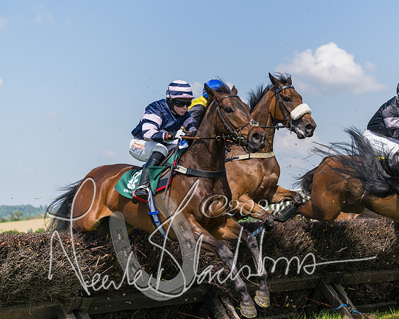 Race 2 - The Maiden  (180 of 442)