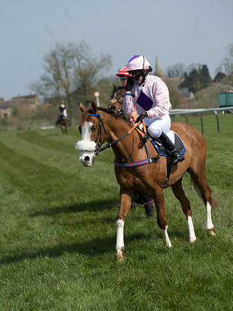 Pony Race 3 -  50