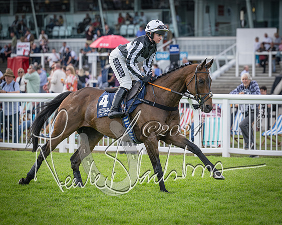 Race 2 - Olly Murphy Racing Stratford Ladies Open (34 of 111)