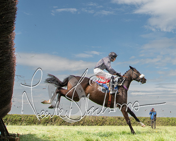 Race 2 - The Elliott of London maiden race (80 of 137)
