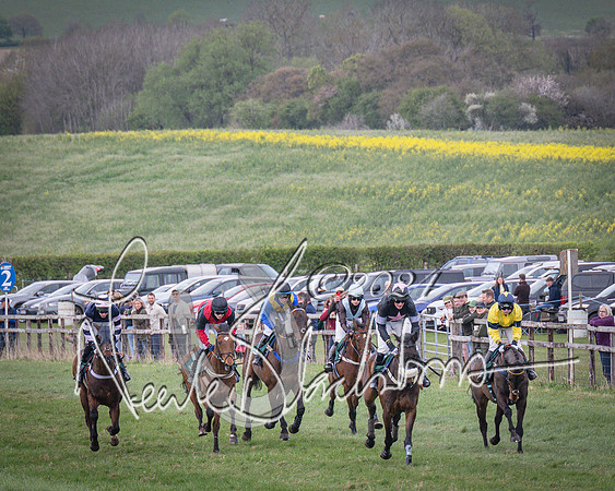 Race 3 - 5 years old and Over Maiden Race (37 of 130)