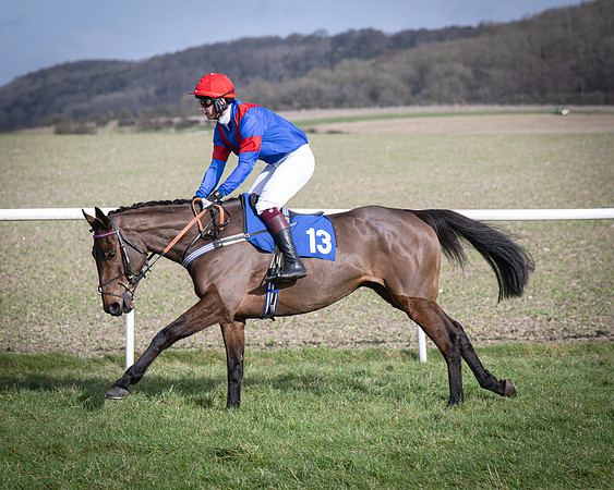 Race 3 - The Maiden Conditions (46 of 214)