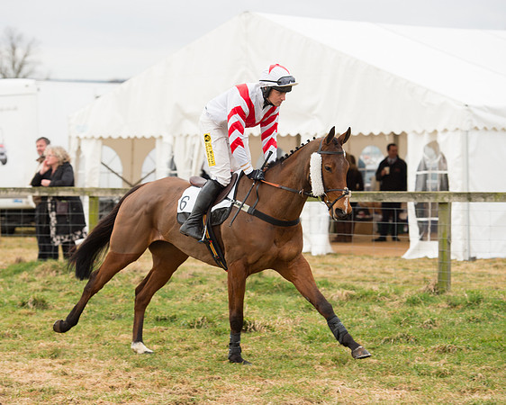 Race 6 - Open Maiden (31 of 100).jpg