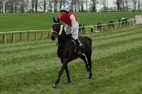 Race 5 - Restricted 20