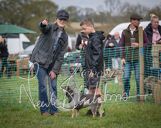 Bicester - Dog Show (100 of 106)