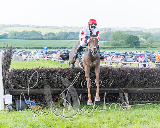 Race 7 - Veteran Horse (51 of 246)