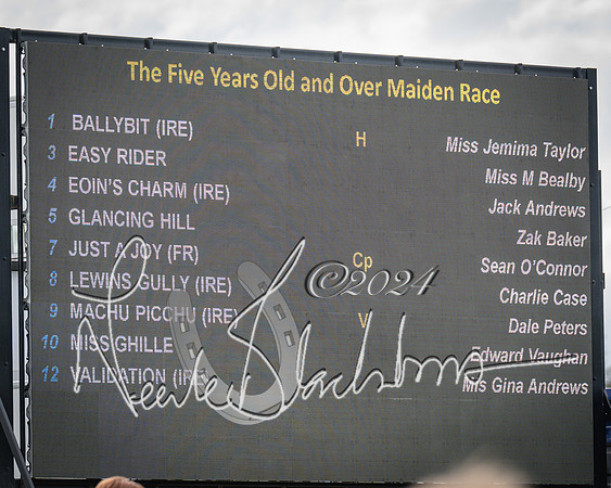 Race 3 - 5 years old and Over Maiden Race (1 of 130)
