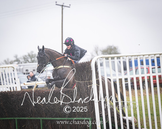Race 2 - Restricted (15 of 70)-Enhanced-NR