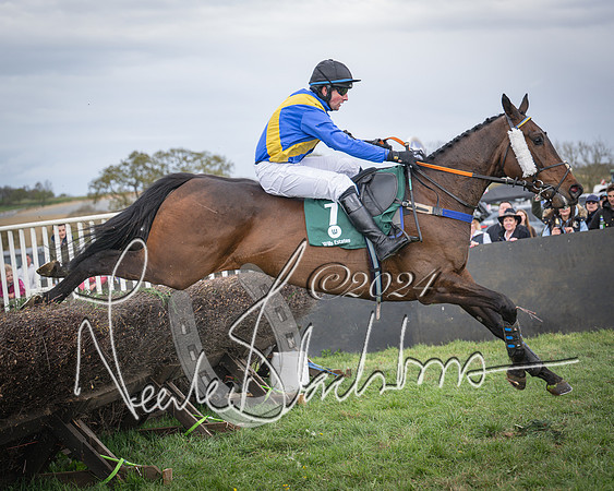 Race 3 - 5 years old and Over Maiden Race (72 of 130)