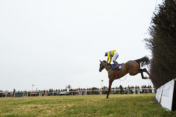 Race 4 - Ladies Open  (52 of 91)