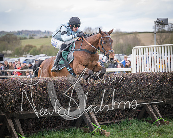 Race 2 - Tattersalls Cheltenham 4 year old Maiden (58 of 85)