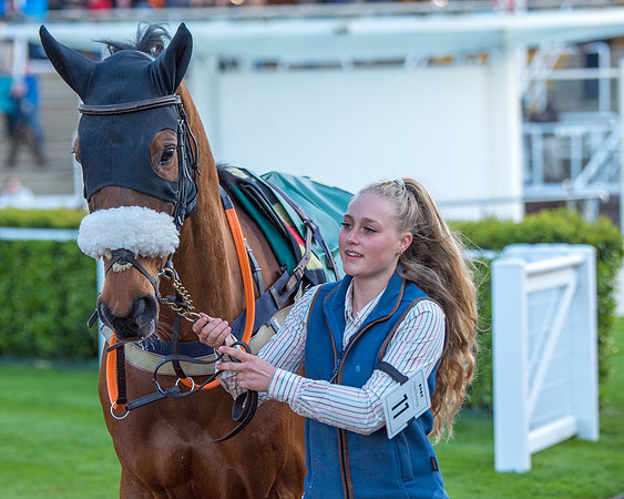 Race 7 - Glos Hussars  (3 of 245)