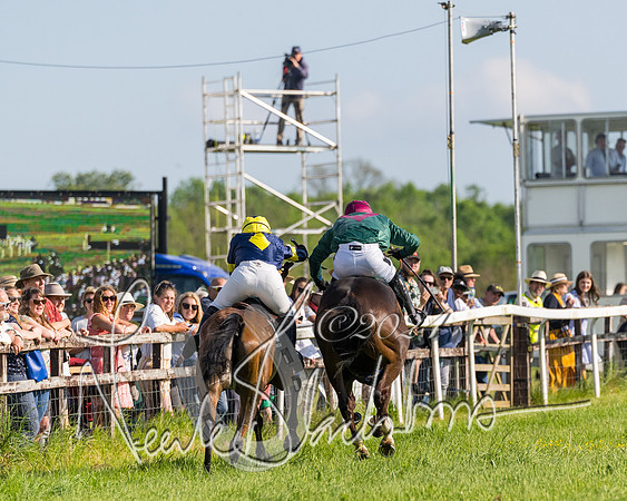 Race 6 - Owner trainer conditions (208 of 272)