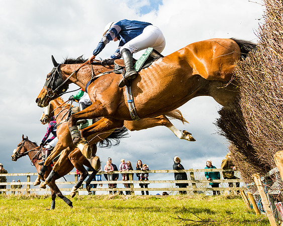 Race 3 - Owner Trainer conditions (66 of 132)