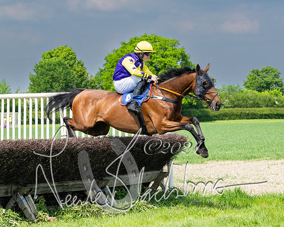 Race 2 - Restricted  (190 of 308)