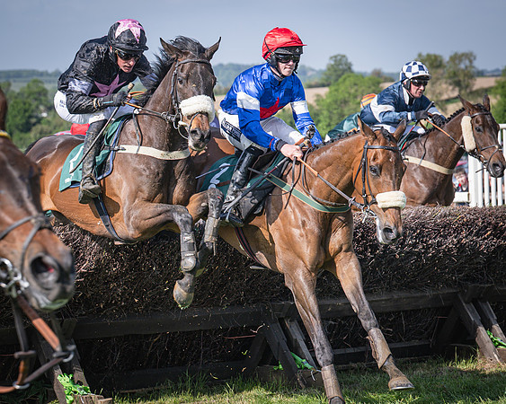 Race 5 - Restricted (63 of 116)