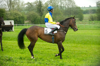Ponies - 12
