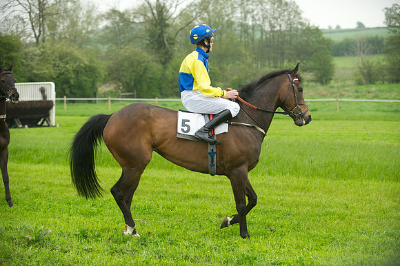 Ponies - 12