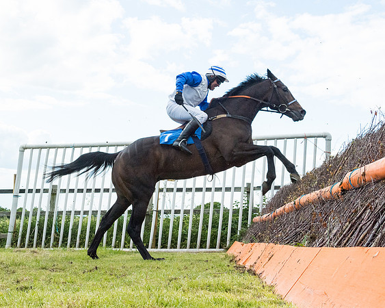 Race 5 - Restricted  (88 of 136)