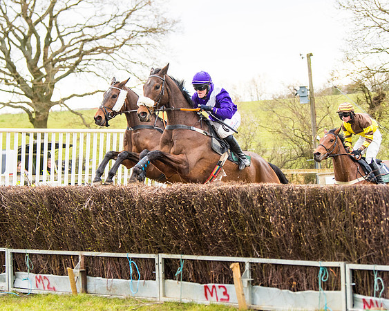 Race 6 - 6 year old and over Maiden 2m4f (11 of 62)