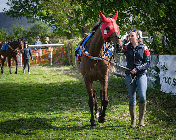 Race 4- The Cala homes Mixed Open Race (8 of 78)