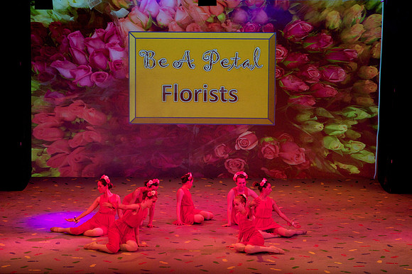 Rose Petals 3