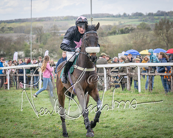 Race 3 - 5 years old and Over Maiden Race (16 of 130)