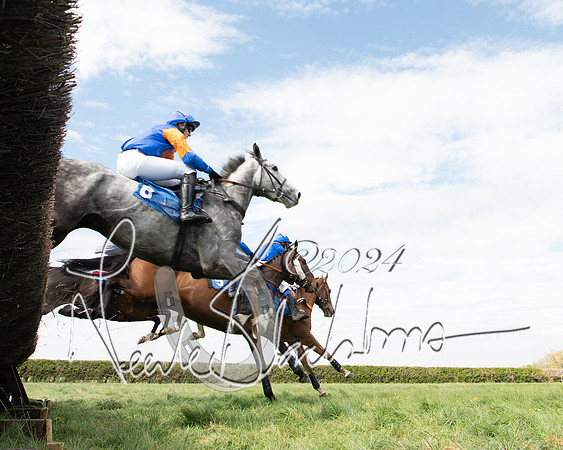 Race 2 - The Elliott of London maiden race (44 of 137)