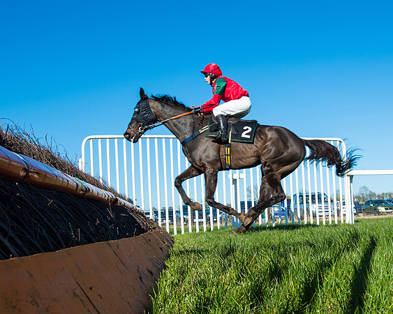 Race 5 - Novice riders (139 of 201)