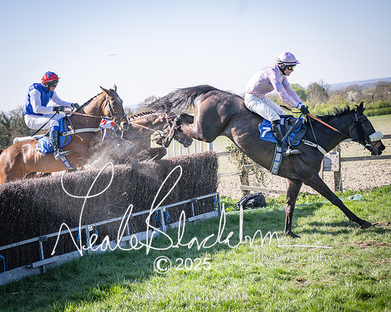 Race 6 - Veteran horse (98 of 109)