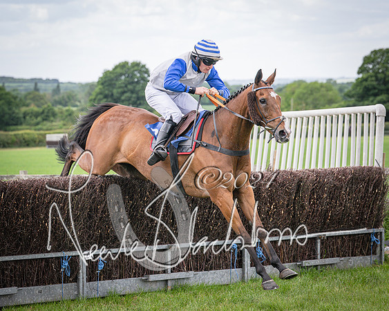 Race 2 - PPORA Members conditions race for Novice riders (99 of 127)