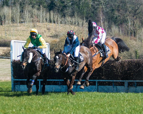 Race 2 - Warwick racecourse conditions  (14 of 122)
